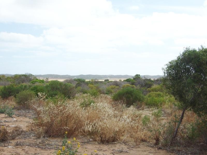 383 McCartney Road, Greenough WA 6532