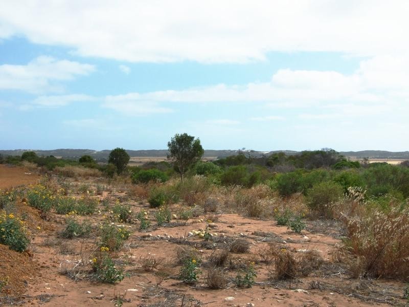 383 McCartney Road, Greenough WA 6532