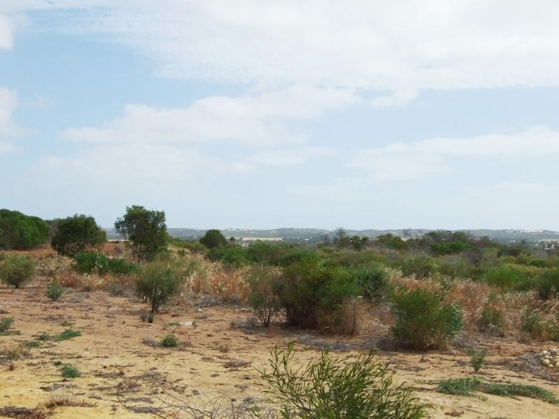 383 McCartney Road, Greenough WA 6532