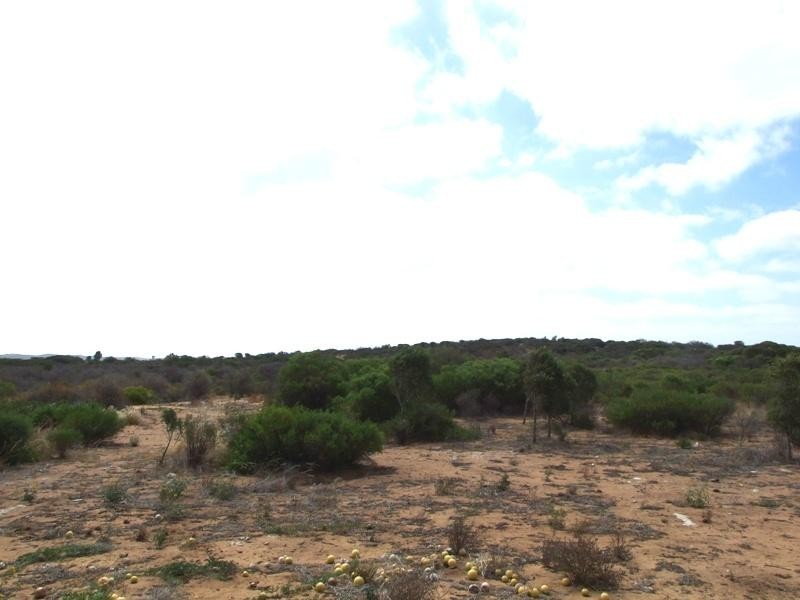 383 McCartney Road, Greenough WA 6532