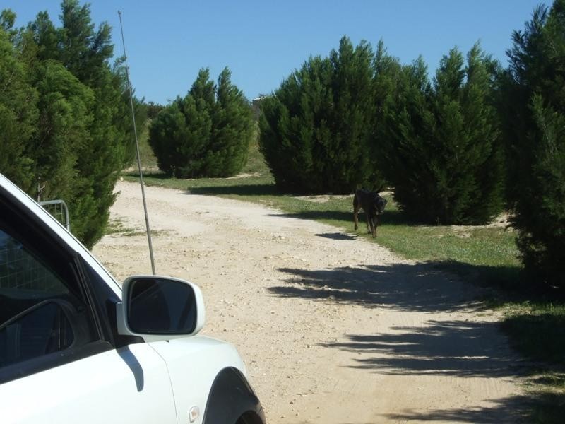 205 Cambewarra Drive, Jurien Bay WA 6516