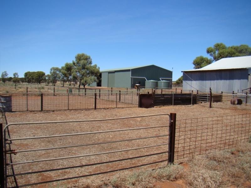 376 Tardun-Pindar Road, Tardun WA 6628