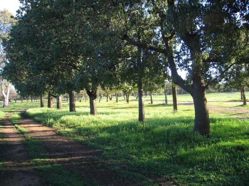 7 R Whylandra Crossing, Dubbo NSW 2830