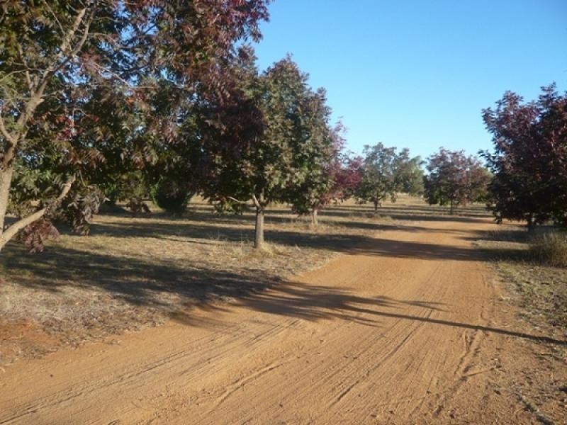 13 R Wilfred Smith Drive, Dubbo NSW 2830