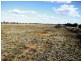 Narromine NSW 2821