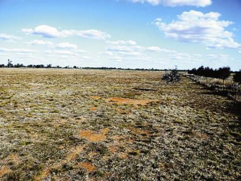 Narromine NSW 2821