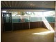 12 Howard Avenue, Dubbo NSW 2830