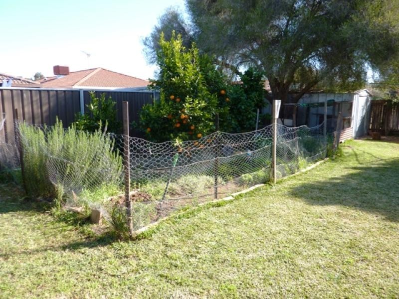 17 Topaz Street, Dubbo NSW 2830