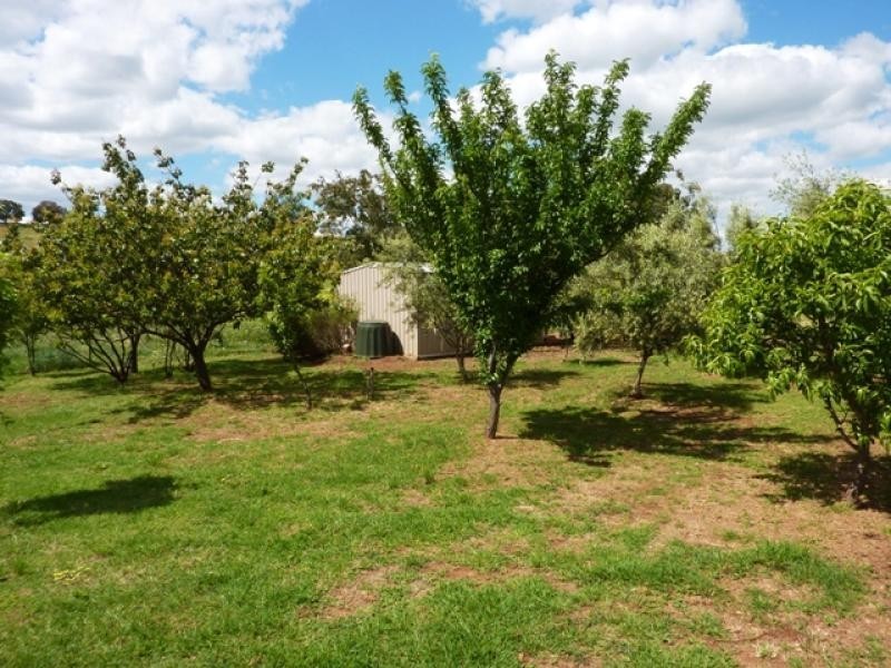 437 Comobella Road, Geurie NSW 2831