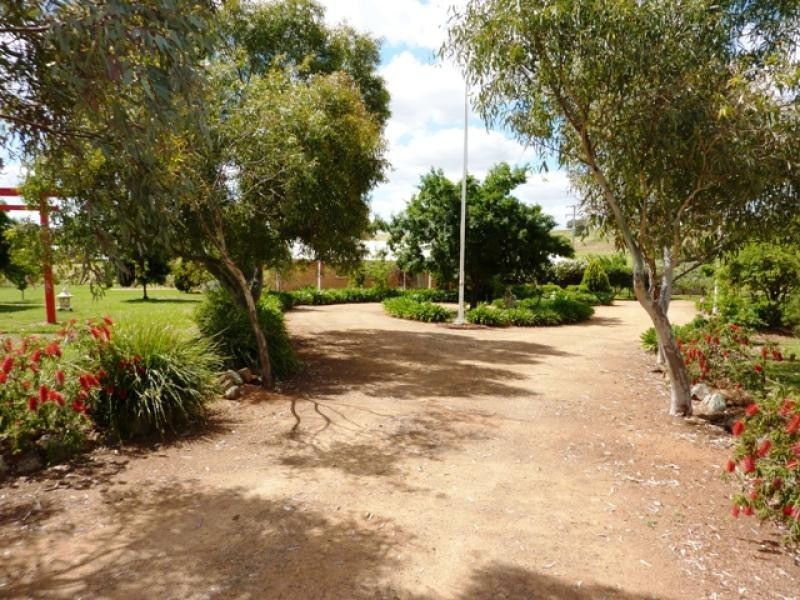 437 Comobella Road, Geurie NSW 2831