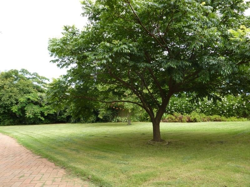 6 Wales Court, Dubbo NSW 2830