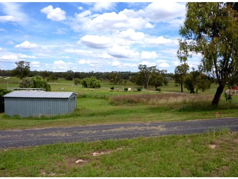 20 Fitzroy Street, Geurie NSW 2831