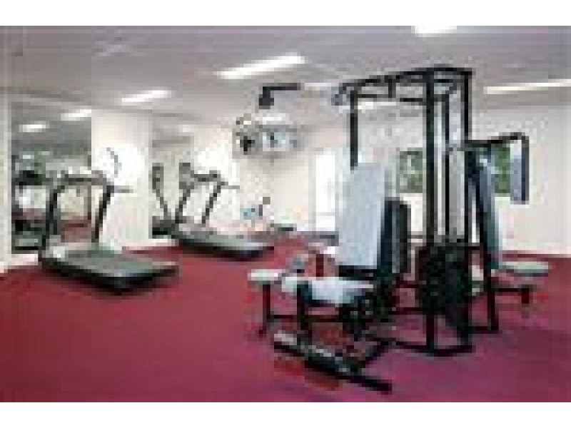 Apartment 2004/91-95 Liverpool Street, Sydney NSW 2000