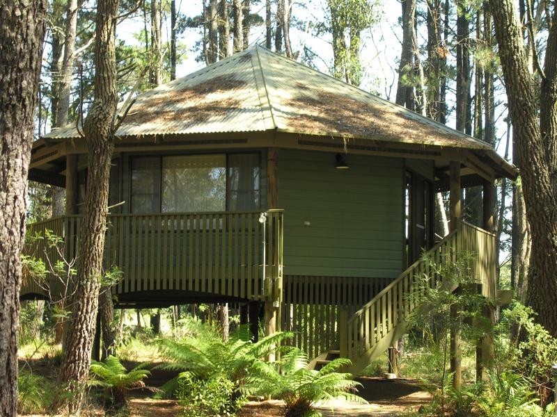 185 Evans Lookout Road, Blackheath NSW 2785