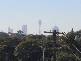 Marrickville NSW 2204