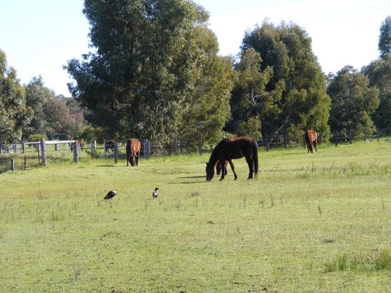 75 Gull Road, Serpentine WA 6125