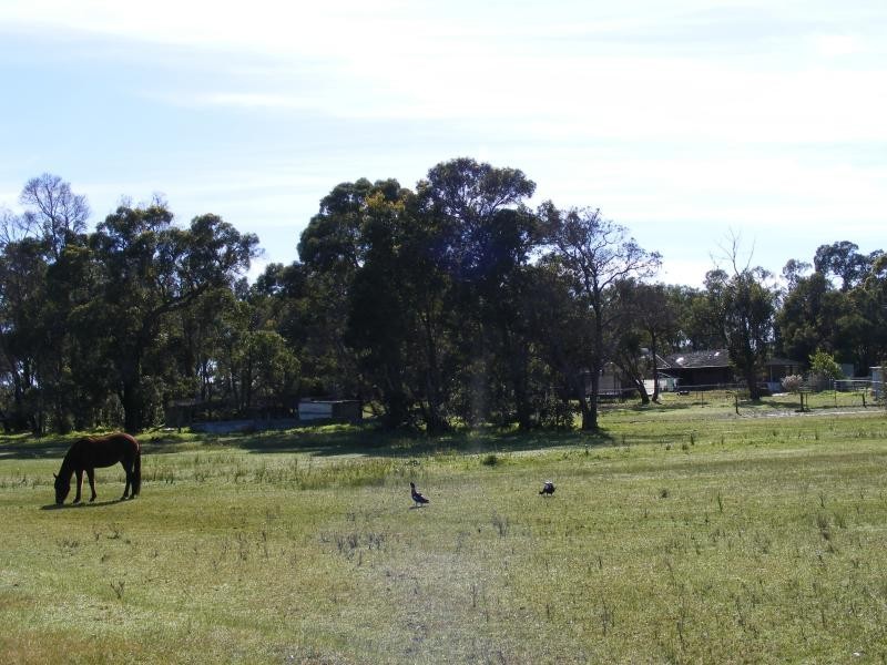 75 Gull Road, Serpentine WA 6125