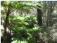 Jarrahdale WA 6124