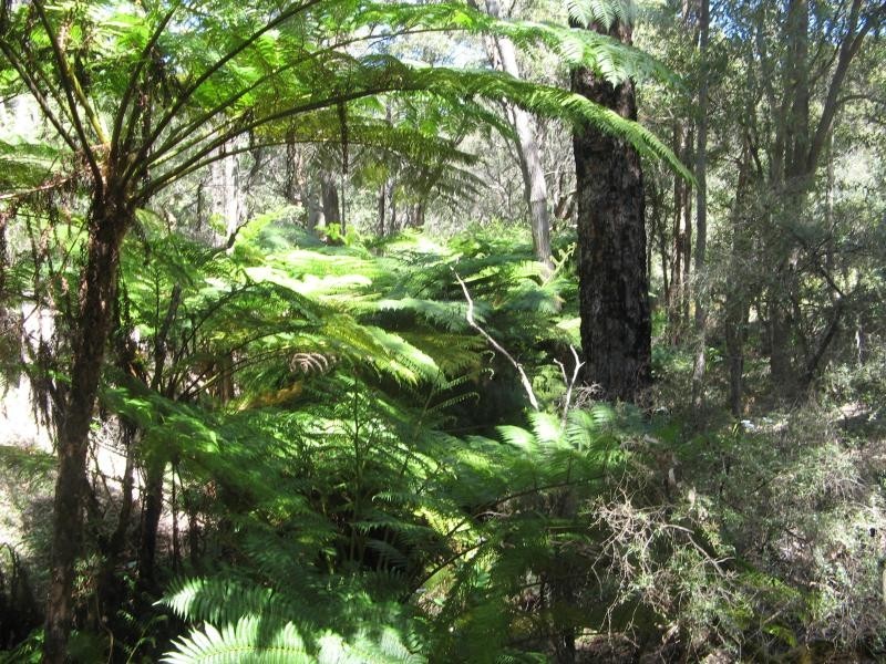 Jarrahdale WA 6124