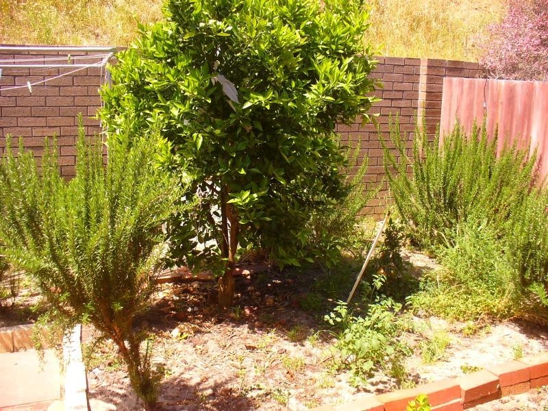 9/40 Lensham Place, Armadale WA 6112