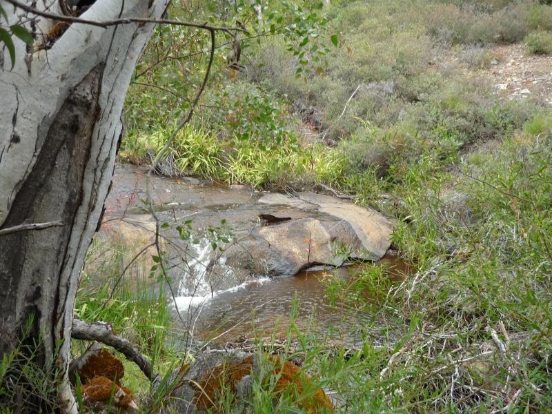 2 Deldillia Follow, Serpentine WA 6125