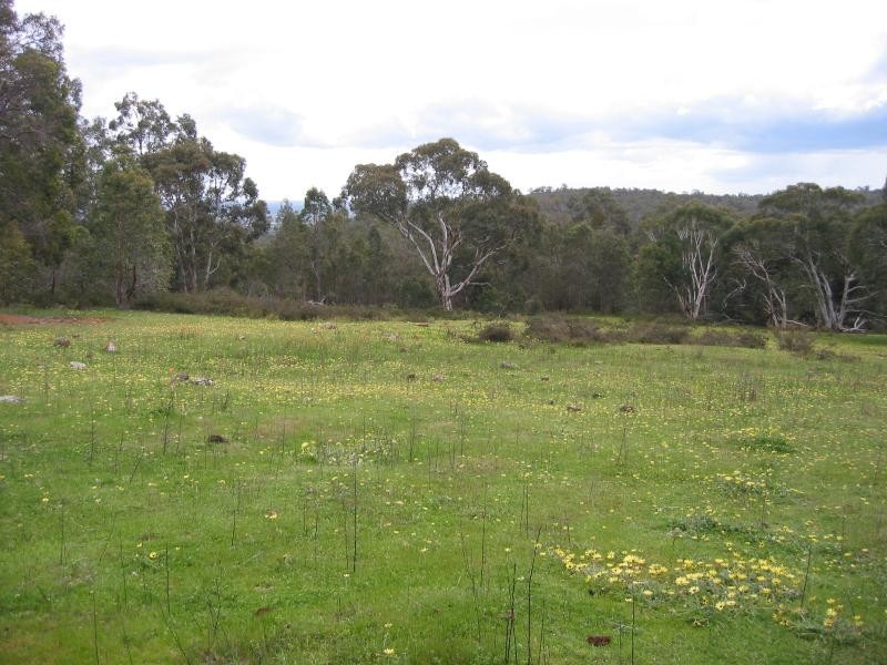 2 Deldillia Follow, Serpentine WA 6125