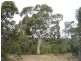 2 Deldillia Follow, Serpentine WA 6125