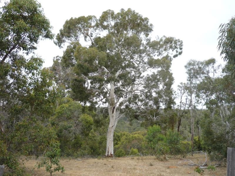 2 Deldillia Follow, Serpentine WA 6125