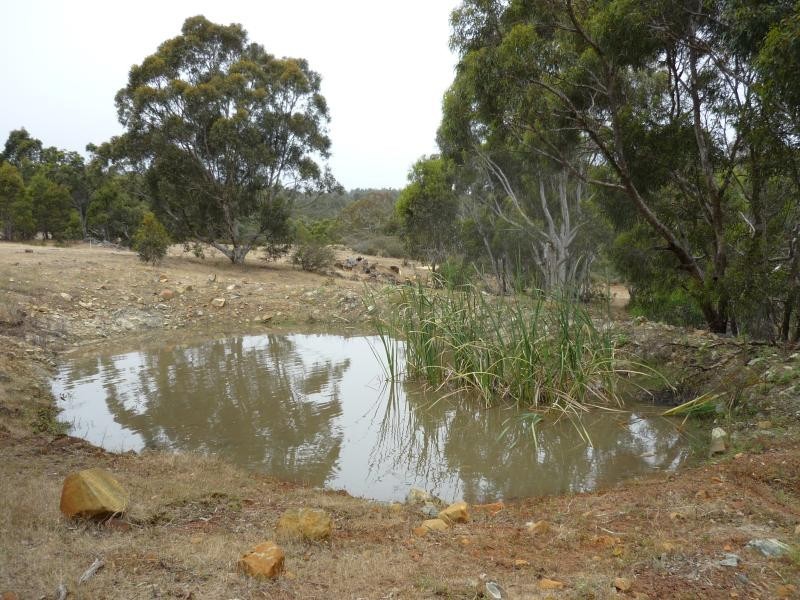 2 Deldillia Follow, Serpentine WA 6125