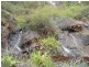 2 Deldillia Follow, Serpentine WA 6125
