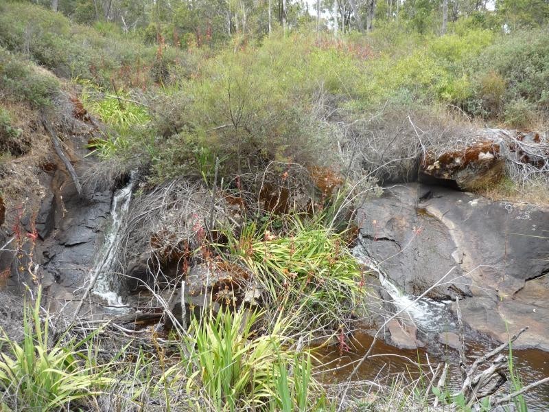 2 Deldillia Follow, Serpentine WA 6125