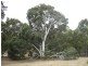 2 Deldillia Follow, Serpentine WA 6125