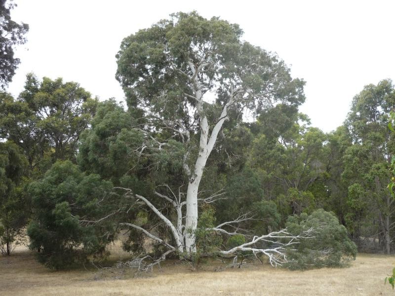 2 Deldillia Follow, Serpentine WA 6125