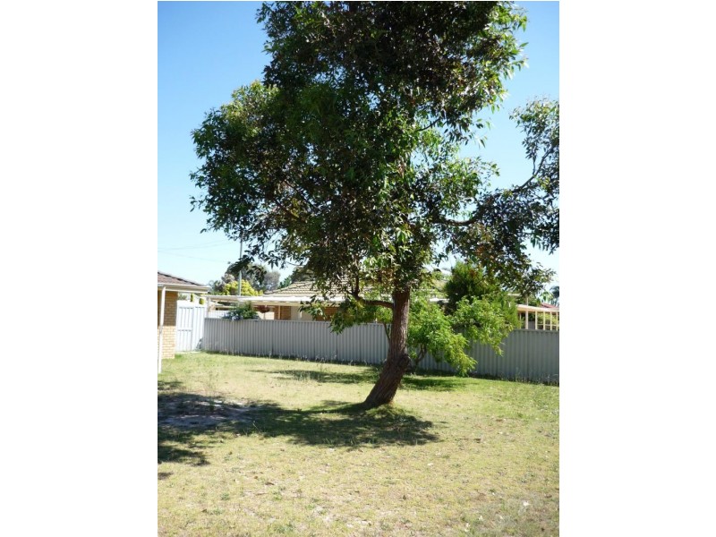 3 Kara Court, Seville Grove WA 6112