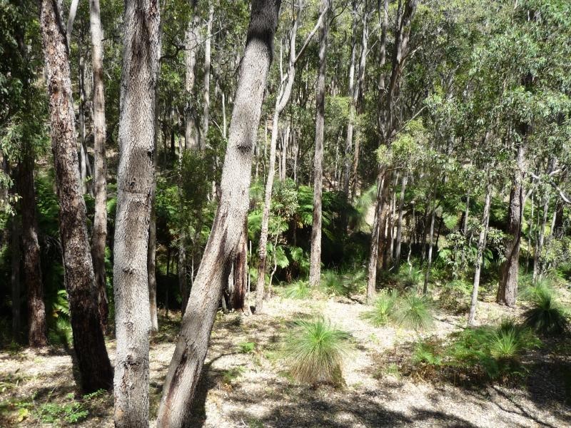 519 Jubb Road, Jarrahdale WA 6124