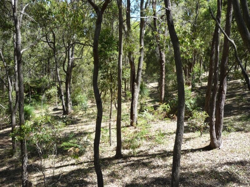 519 Jubb Road, Jarrahdale WA 6124