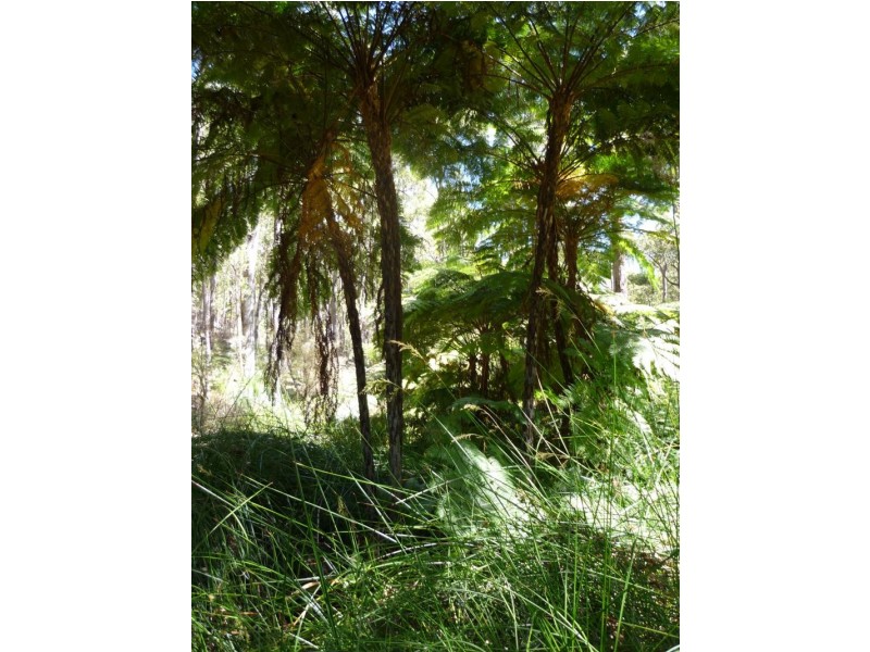 519 Jubb Road, Jarrahdale WA 6124