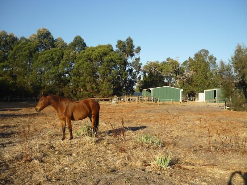 56 Walker Road, Serpentine WA 6125