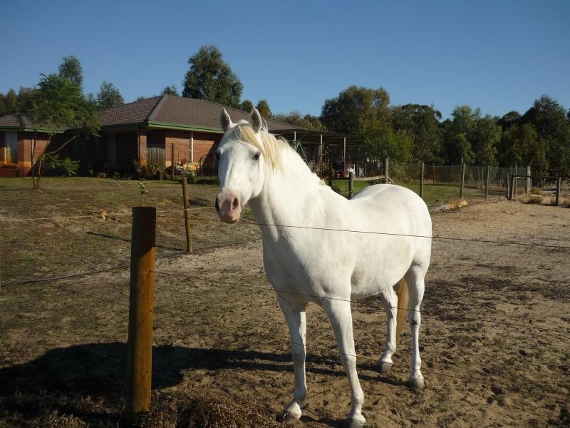 43 Windmill Rd, Serpentine WA 6125