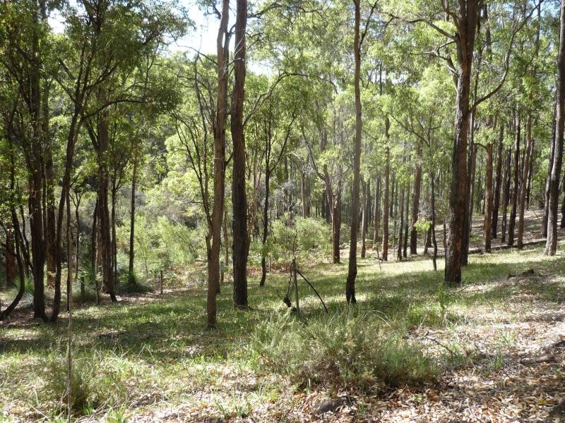 519 Jubb Road, Jarrahdale WA 6124