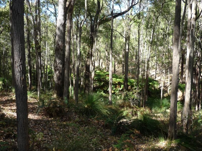 519 Jubb Road, Jarrahdale WA 6124