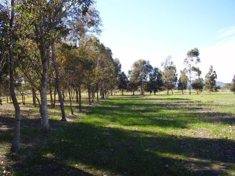 98 Bangap Place, Oakford WA 6121