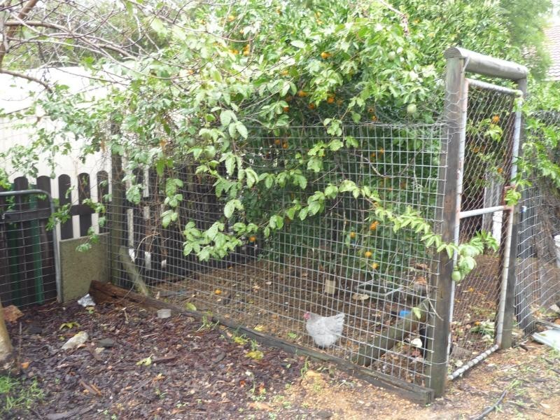 4 Atkins Street, Jarrahdale WA 6124