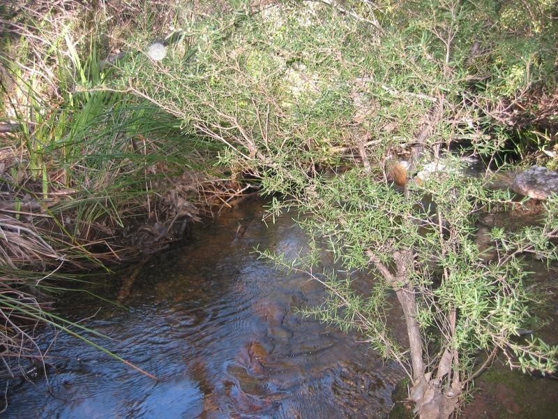 2 Deldillia Follow, Serpentine WA 6125