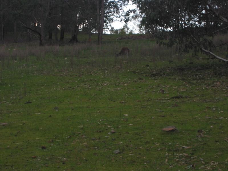 2 Deldillia Follow, Serpentine WA 6125