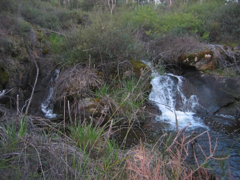2 Deldillia Follow, Serpentine WA 6125