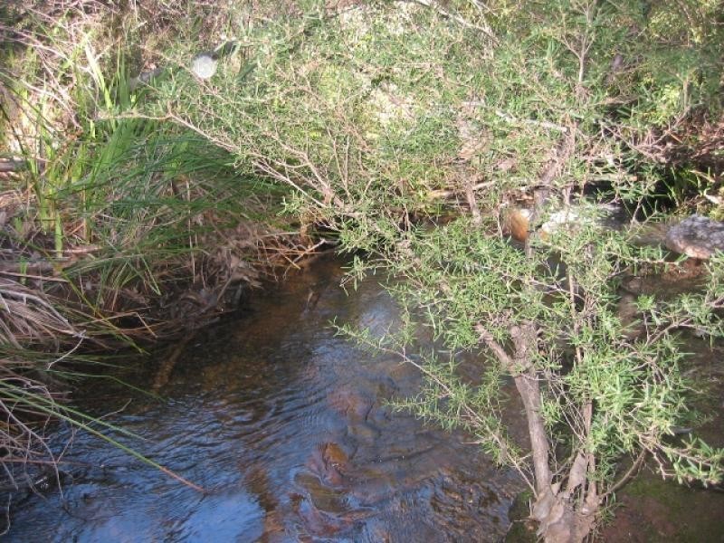 2 Deldillia Follow, Serpentine WA 6125