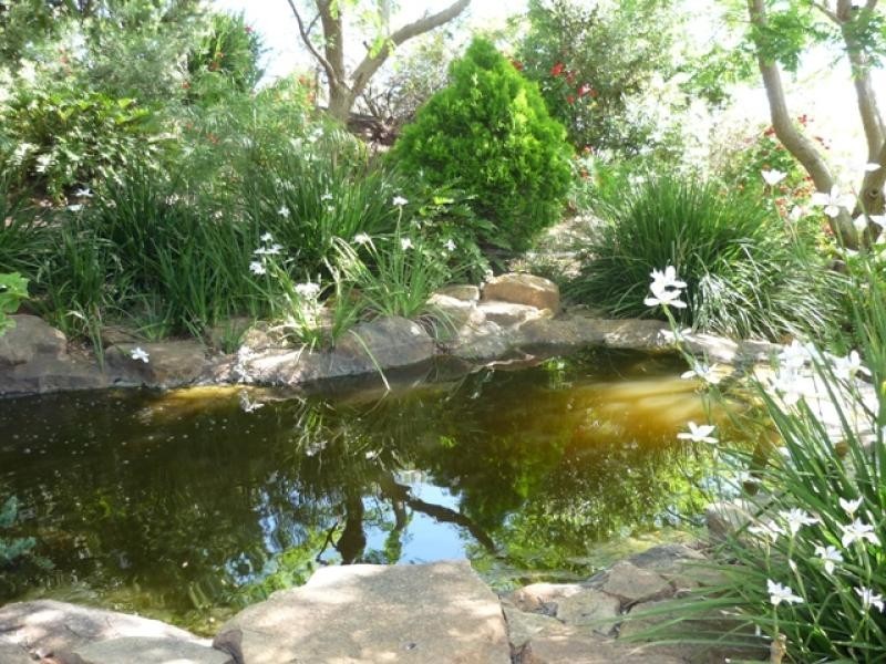 16 McKay Dve, Serpentine WA 6125