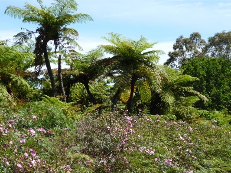 50 Yamba Dve, Keysbrook WA 6126