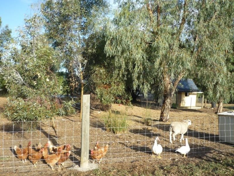 37 Tranby Ave, Serpentine WA 6125